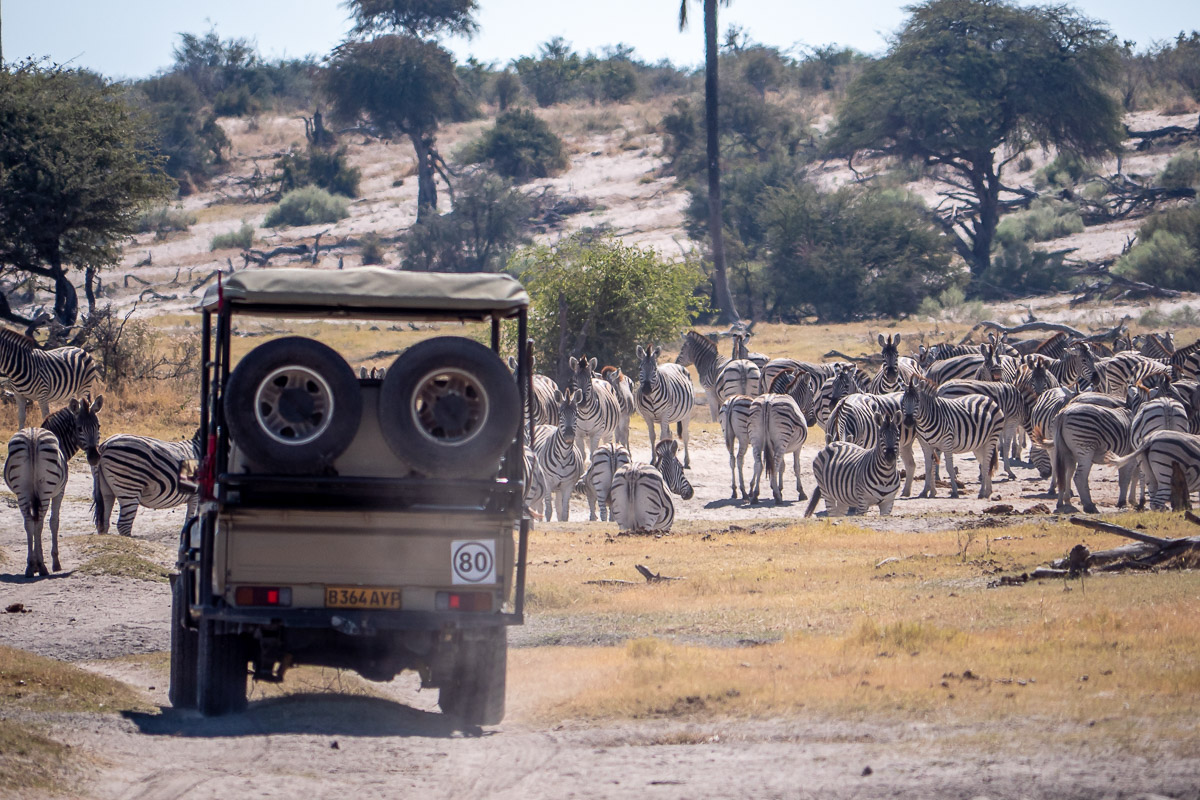 Meno-A-Kwena, Botswana, Selbstfahrerreise, Zebra Migration