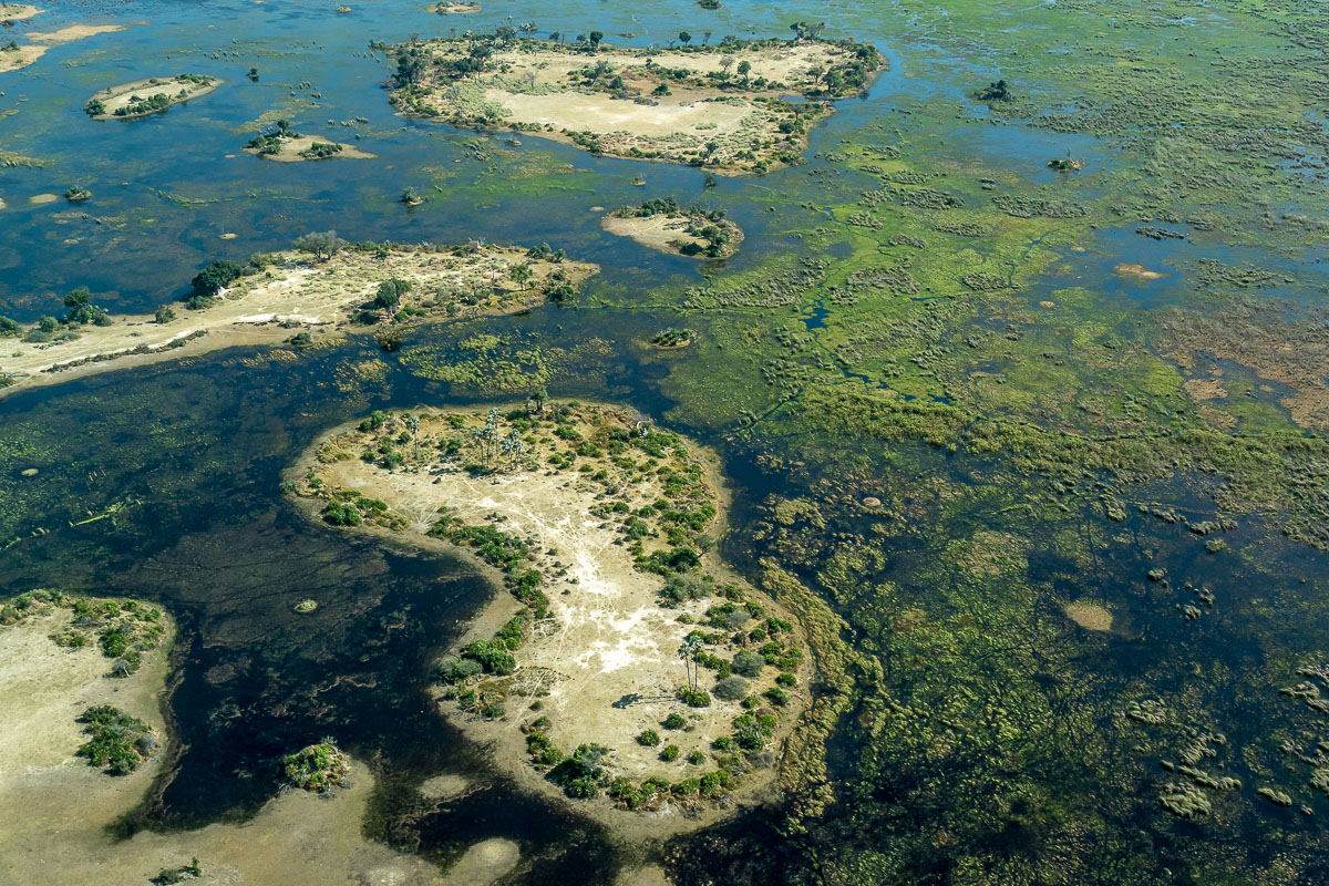 Okavango Delta, Botswana, Selbstfahrerreise